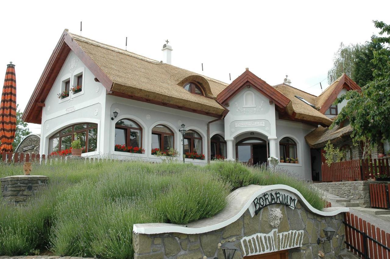 蒂豪尼 Ferenc Vendeghaz酒店 外观 照片
